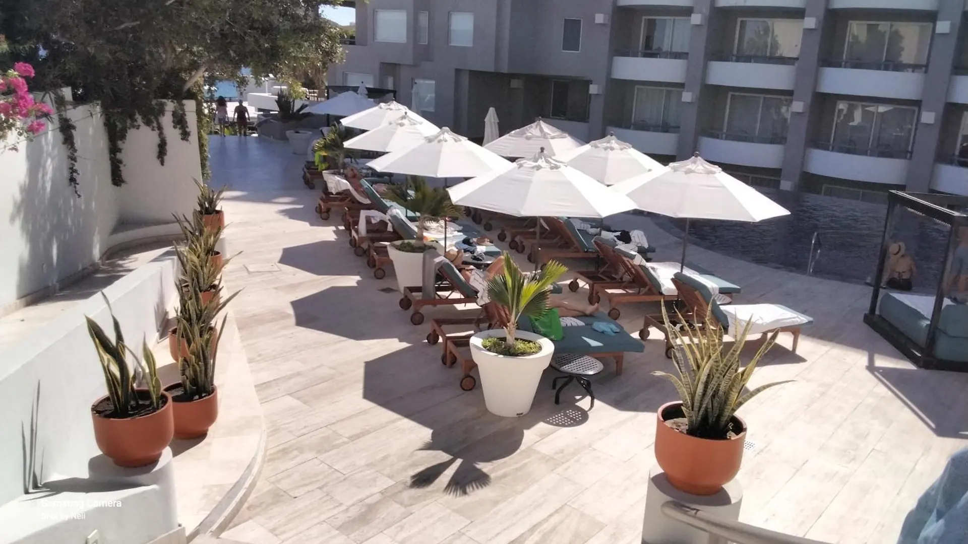 Hotel Cabo Bay à Cabo San Lucas Station touristique